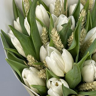 Букет из 15 белых тюльпанов с колосками