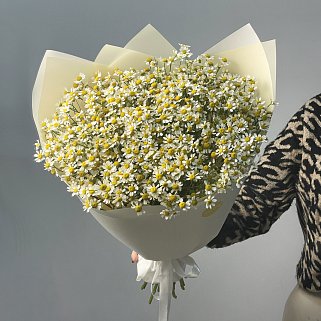 Букет ромашек L