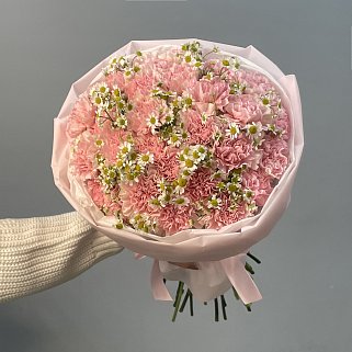 Розовый дуо-букет гвоздик и матрикарий L