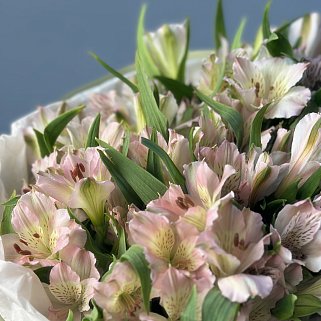 Букет из 11 розовых альстромерий