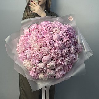 Букет из 51 розового пиона