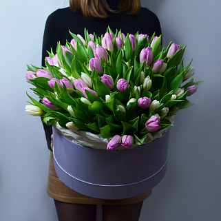 Букет из 101 тюльпана в шляпной коробке