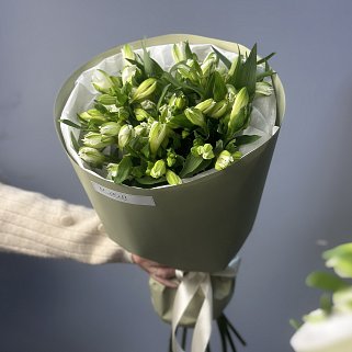 Букет из 11 белых альстромерий