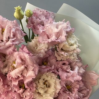 Букет из 9 розовых эустом